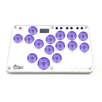 Mini HitBox SallyBox Plus with Gamerfinger Caps LED Light Fighting Controller WASD Mixbox Mechanical Switches Support PC Xinput